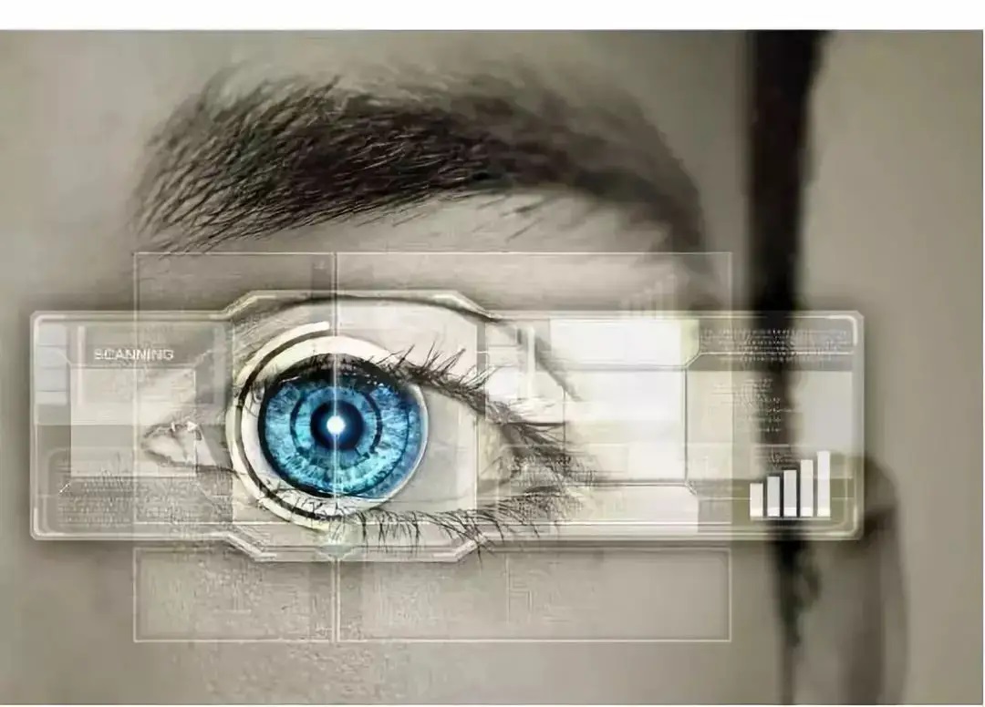 how IRIS recognition works